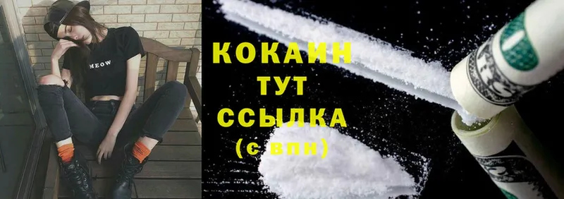 как найти закладки  Новоржев  Cocaine 97% 